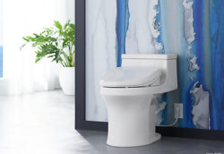 6 things you must know before buying a bidet